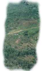 Arial view of homstead
